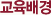 교육배경